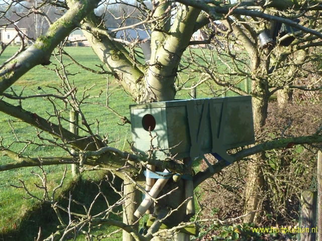 Nestkast voor steenuilen